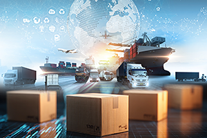  CUSTOMS INSPECTION DELAYS