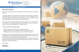 CUSTOMS INSPECTION DELAYS